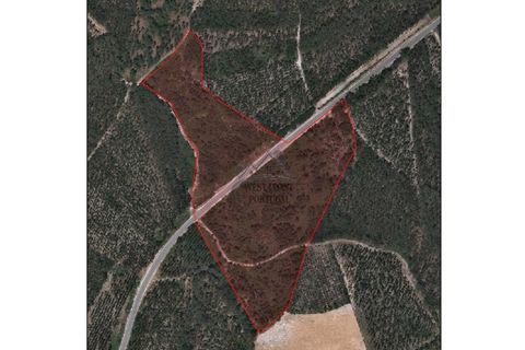Helårsgrund i Santo Onofre e Serra do Bouro, Leiria, Santo Onofre e Serra do Bouro - € 97.000 | Ref: 143WCP - foto 3