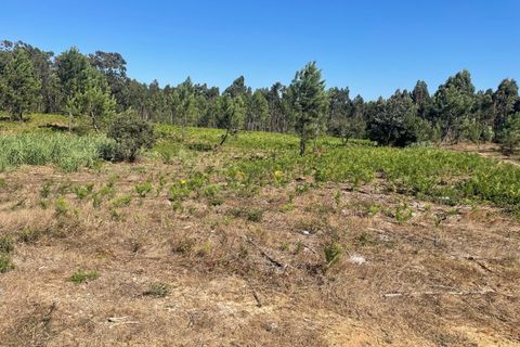 Helårsgrund i Santo Onofre e Serra do Bouro, Leiria, Santo Onofre e Serra do Bouro - € 97.000 | Ref: 143WCP - foto 4