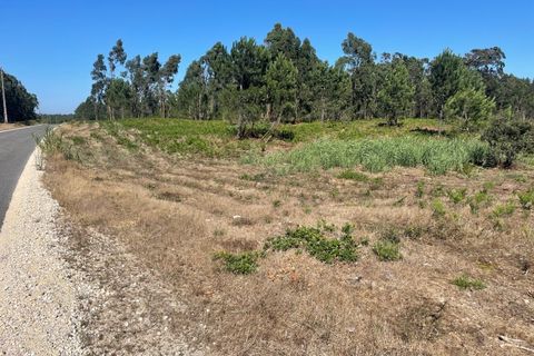 Helårsgrund i Santo Onofre e Serra do Bouro, Leiria, Santo Onofre e Serra do Bouro - € 97.000 | Ref: 143WCP - foto 5