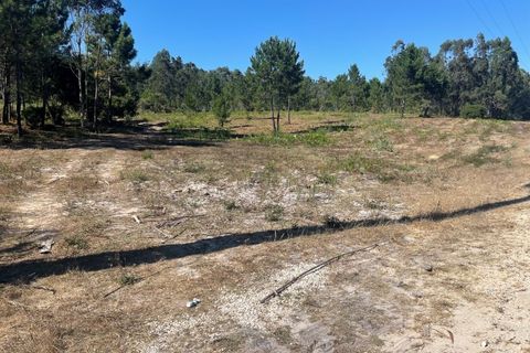 Helårsgrund i Santo Onofre e Serra do Bouro, Leiria, Santo Onofre e Serra do Bouro - € 97.000 | Ref: 143WCP - foto 7