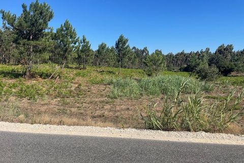 Helårsgrund i Santo Onofre e Serra do Bouro, Leiria, Santo Onofre e Serra do Bouro - € 97.000 | Ref: 143WCP - foto 8