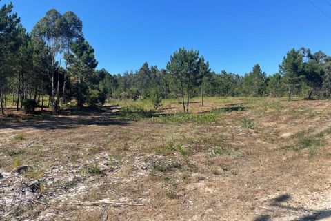 Helårsgrund i Santo Onofre e Serra do Bouro, Leiria, Santo Onofre e Serra do Bouro - € 97.000 | Ref: 143WCP - foto 10