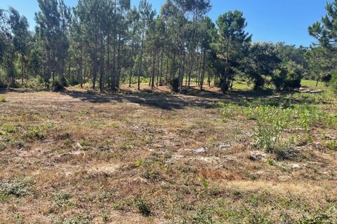 Helårsgrund i Santo Onofre e Serra do Bouro, Leiria, Santo Onofre e Serra do Bouro - € 97.000 | Ref: 143WCP - foto 11