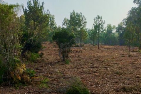 Helårsgrund i Santo Onofre e Serra do Bouro, Leiria, Santo Onofre e Serra do Bouro - € 97.000 | Ref: 143WCP - foto 12