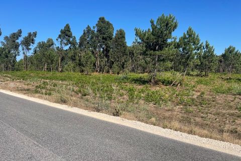 Helårsgrund i Santo Onofre e Serra do Bouro, Leiria, Santo Onofre e Serra do Bouro - € 97.000 | Ref: 143WCP - foto 14