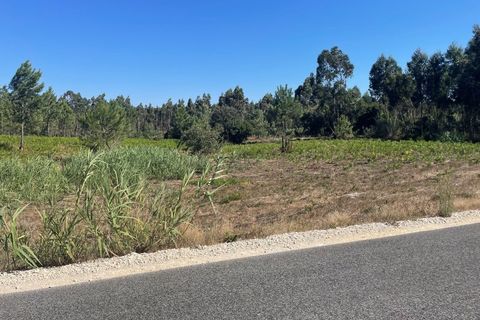 Helårsgrund i Santo Onofre e Serra do Bouro, Leiria, Santo Onofre e Serra do Bouro - € 97.000 | Ref: 143WCP - foto 15