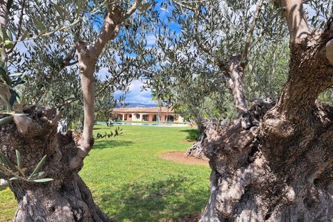 Villa a Carqueiranne, Var, Carqueiranne - € 2.100.000 | Ref: 5854 - foto 5
