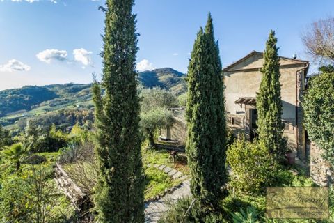 Villa i Lucca, Lucca, Lucca - € 3.900.000 | Ref: v1933lv-x - foto 42