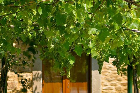 Villa i Cortona, Arezzo, Cortona - € 1.300.000 | Ref: v1822ts-x - foto 3