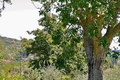 Villa i Cortona, Arezzo, Cortona - € 1.300.000 | Ref: v1822ts-x - foto 9