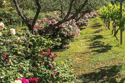 Villa i Cortona, Arezzo, Cortona - € 2.400.000 | Ref: v4350sc-x - foto 7