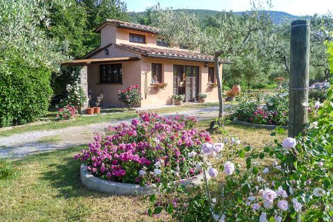 Villa i Cortona, Arezzo, Cortona - € 2.400.000 | Ref: v4350sc-x - foto 4