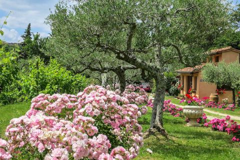 Villa i Cortona, Arezzo, Cortona - € 2.400.000 | Ref: v4350sc-x - foto 5