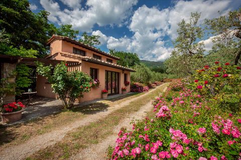 Villa i Cortona, Arezzo, Cortona - € 2.400.000 | Ref: v4350sc-x - foto 15