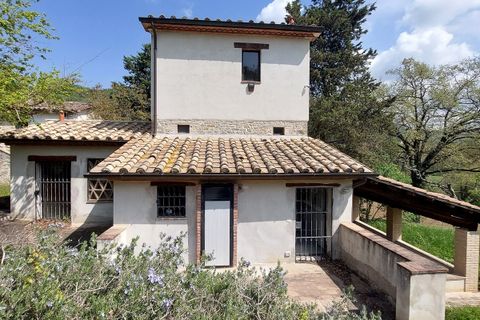 Villa a Montone, Perugia, Montone - € 450.000 | Ref: v56464-x - foto 21