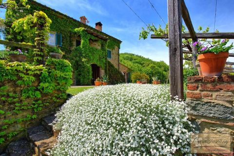 Villa i Cortona, Arezzo, Cortona - € 2.300.000 | Ref: v4251ts-x - foto 12