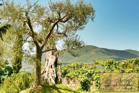 Villa i Cortona, Arezzo, Cortona - € 550.000 | Ref: v5566ts-x - foto 26