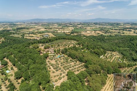 Villa i Lucignano, Arezzo, Lucignano - € 3.000.000 | Ref: v2443ts-x - foto 8