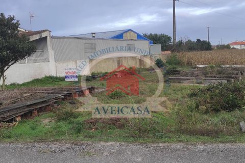 Helårsgrund i Aveiro, Aveiro, Aveiro - € 75.000 | Ref: 10165 - foto 4