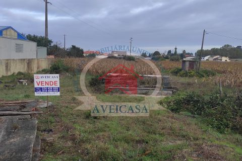 Helårsgrund i Aveiro, Aveiro, Aveiro - € 75.000 | Ref: 10165 - foto 1