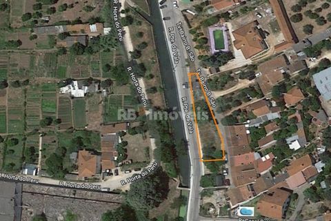 Helårsgrund i Tomar, Santarem, Tomar - € 34.900 | Ref: 00770-22 - foto 2