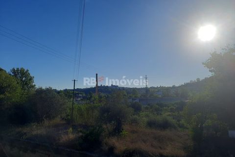 Helårsgrund i Tomar, Santarem, Tomar - € 34.900 | Ref: 00770-22 - foto 4