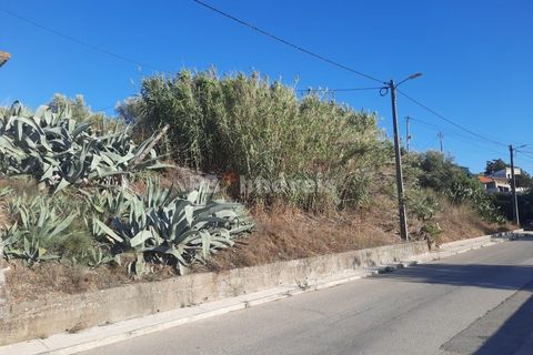 Helårsgrund i Tomar, Santarem, Tomar - € 34.900 | Ref: 00770-22 - foto 7