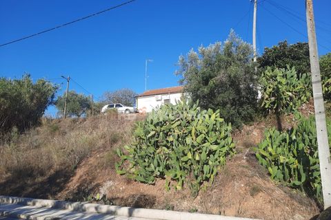 Helårsgrund i Tomar, Santarem, Tomar - € 34.900 | Ref: 00770-22 - foto 10