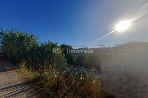 Helårsgrund i Tomar, Santarem, Tomar - € 34.900 | Ref: 00770-22 - foto 8