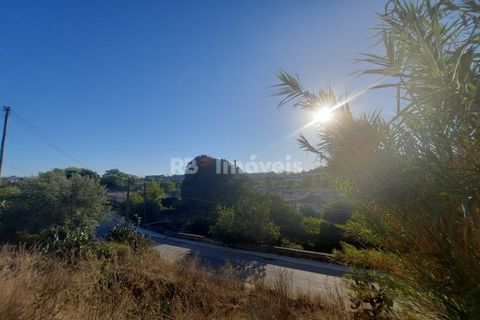Helårsgrund i Tomar, Santarem, Tomar - € 34.900 | Ref: 00770-22 - foto 12