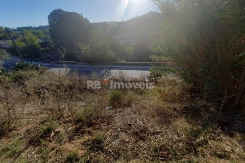 Helårsgrund i Tomar, Santarem, Tomar - € 34.900 | Ref: 00770-22 - foto 9