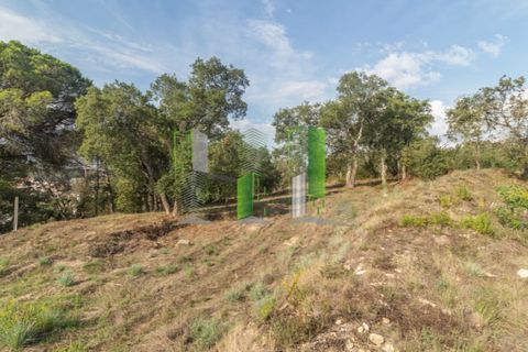 Helårsgrund i Coimbra, Coimbra, Coimbra - € 1.330.000 | Ref: CBRFA 4557 - foto 2