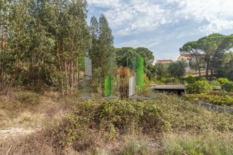 Helårsgrund i Coimbra, Coimbra, Coimbra - € 1.330.000 | Ref: CBRFA 4557 - foto 7
