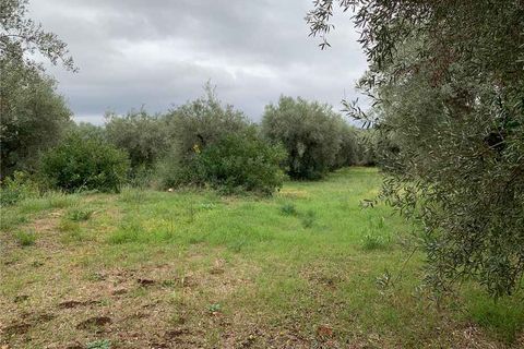 Helårsgrund i Noto, Siracusa, Noto - € 35.000 | Ref: 72T - foto 2
