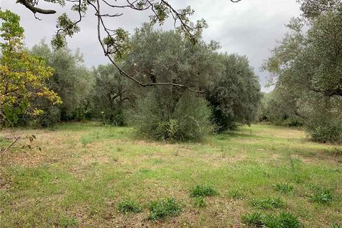 Helårsgrund i Noto, Siracusa, Noto - € 35.000 | Ref: 72T - foto 3