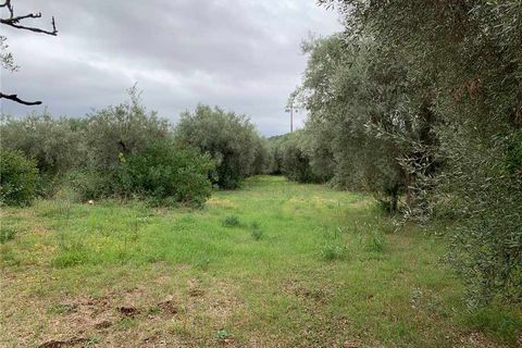 Helårsgrund i Noto, Siracusa, Noto - € 35.000 | Ref: 72T - foto 4