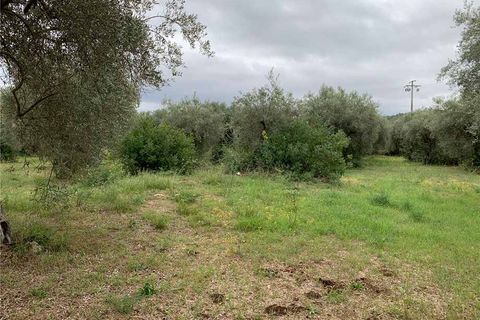 Helårsgrund i Noto, Siracusa, Noto - € 35.000 | Ref: 72T - foto 5