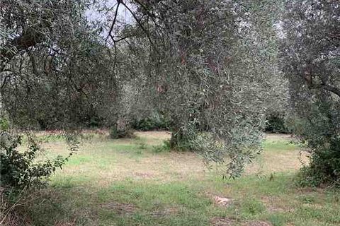 Helårsgrund i Noto, Siracusa, Noto - € 35.000 | Ref: 72T - foto 9