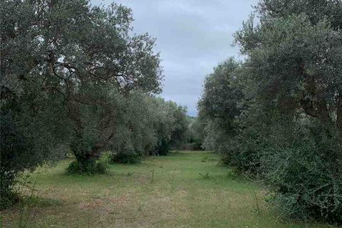 Helårsgrund i Noto, Siracusa, Noto - € 35.000 | Ref: 72T - foto 10