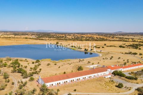 Landejendom i Crato, Portalegre, Crato - € 3.500.000 | Ref: 902-2 - foto 11