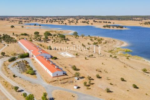 Landejendom i Crato, Portalegre, Crato - € 3.500.000 | Ref: 902-2 - foto 12