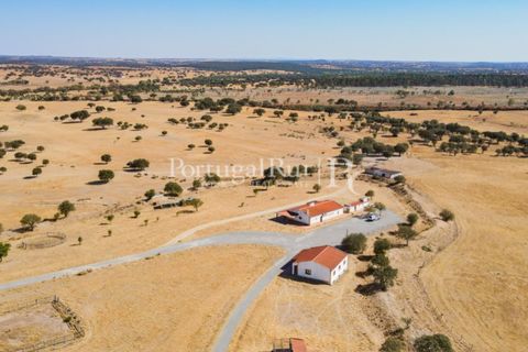 Landejendom i Crato, Portalegre, Crato - € 3.500.000 | Ref: 902-2 - foto 16