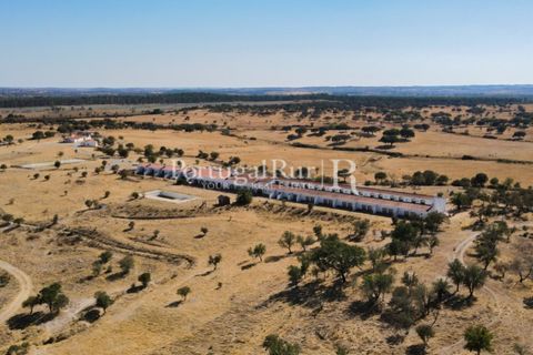 Landejendom i Crato, Portalegre, Crato - € 3.500.000 | Ref: 902-2 - foto 20