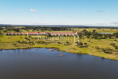 Landejendom i Crato, Portalegre, Crato - € 3.500.000 | Ref: 902-2 - foto 3