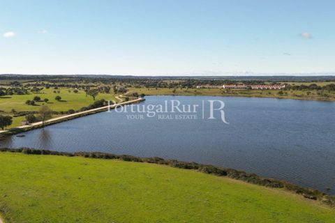 Landejendom i Crato, Portalegre, Crato - € 3.500.000 | Ref: 902-2 - foto 6