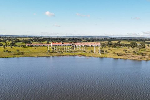 Landejendom i Crato, Portalegre, Crato - € 3.500.000 | Ref: 902-2 - foto 13