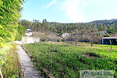 Villa i Viana do Castelo, Viana do Castelo, Viana do Castelo - € 625.000 | Ref: 1539 - foto 31