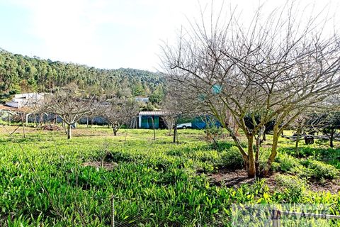 Villa i Viana do Castelo, Viana do Castelo, Viana do Castelo - € 625.000 | Ref: 1539 - foto 33