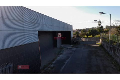 Erhvervsejendom i Cantanhede, Coimbra, Cantanhede - € 290.000 | Ref: TPH001-191 - foto 1