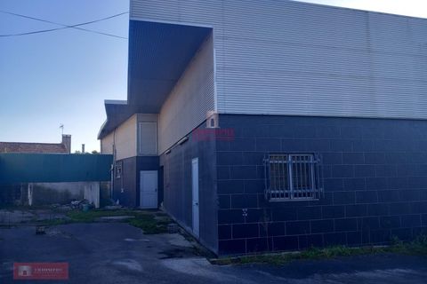 Erhvervsejendom i Cantanhede, Coimbra, Cantanhede - € 290.000 | Ref: TPH001-191 - foto 3